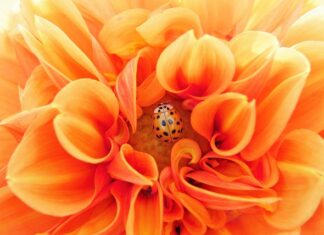 Jak efektywnie pracować w biurze? Jak efektywnie pracować w biurze?