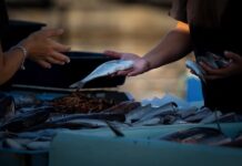 Czy można sprzedawać na blogu? Czy można sprzedawać na blogu?