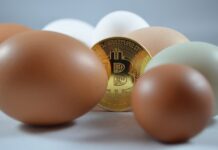 Kto wymyślił kryptowaluty? Kto wymyślił kryptowaluty?