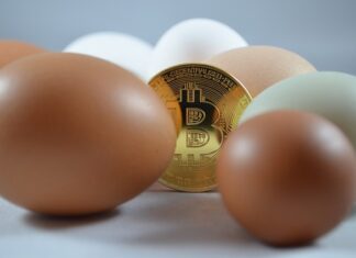 Kto wymyślił kryptowaluty? Kto wymyślił kryptowaluty?