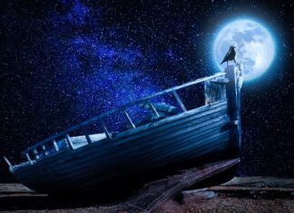 Jaki przedmiot za Podstawy przedsiębiorczości? Jaki przedmiot za Podstawy przedsiębiorczości?