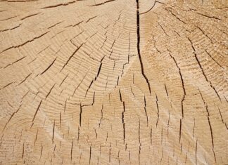 Co to jest loga? Co to jest loga?