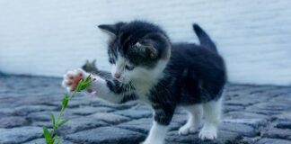 Co jest ważne w kontakcie z klientem?