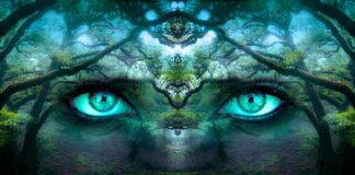 Czy mozg tworzy świadomość?