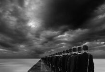 Co to jest asymilacja emocji? Co to jest asymilacja emocji?