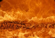 Czy osoba może być marka? Czy osoba może być marka?