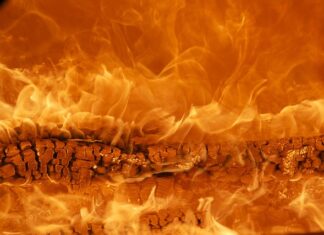 Czy osoba może być marka? Czy osoba może być marka?