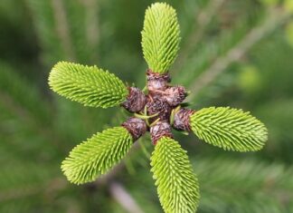 Czego może brakować w związku? Czego może brakować w związku?