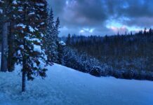 Co można robić po licencjacie z biologii? Co można robić po licencjacie z biologii?