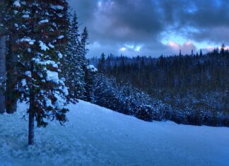 Co można robić po licencjacie z biologii?