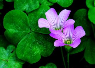 Co zrobić aby przyciągnąć klientów? Co zrobić aby przyciągnąć klientów?