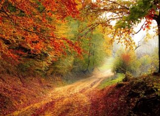 Jak obrać ścieżkę kariery? Jak obrać ścieżkę kariery?