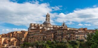 Który z etapów rozwoju zespołu występuje jako pierwszy?