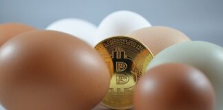 Czy kryptowaluty trzeba się rozliczać?