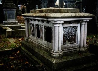 Co ma być zamiast wosu? Co ma być zamiast wosu?