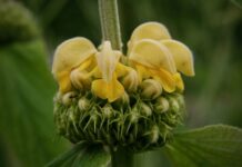 Co to brand identity? Co to brand identity?