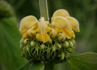 Co to brand identity? Co to brand identity?