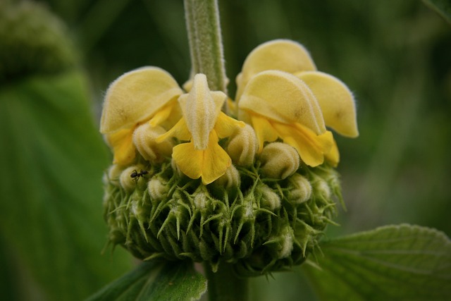 Co to brand identity? Co to brand identity?