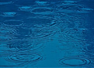 Jaki wpływ na człowieka może mieć grupa społeczna? Jaki wpływ na człowieka może mieć grupa społeczna?