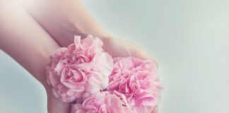 Jak funkcjonują gospodarstwa domowe budżet domowy?