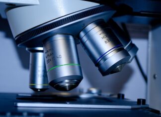 Jak się dzieli biotechnologia? Jak się dzieli biotechnologia?