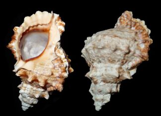 Jak stać się systematycznym? Jak stać się systematycznym?