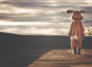 Jak napisać Indywidualny plan rozwoju? Jak napisać Indywidualny plan rozwoju?