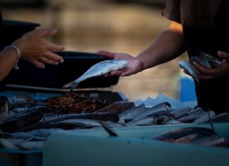 Co się opłaca szyć i sprzedawać?