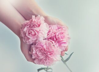 Czy można mieć 2 gospodarstwa domowe? Czy można mieć 2 gospodarstwa domowe?