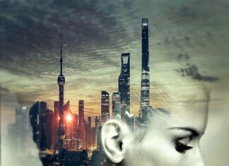 Co jest kluczowe w podczas tworzenia i realizowania osobistych planów kariery? Co jest kluczowe w podczas tworzenia i realizowania osobistych planów kariery?