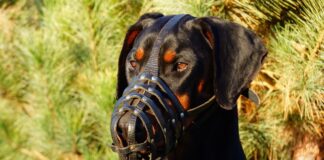 Jak stać się bardziej zdyscyplinowanym?