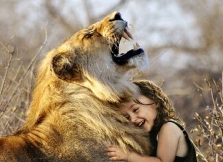 Jak mieć lepsze życie i relacje? Jak mieć lepsze życie i relacje?