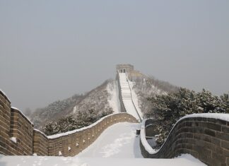Co przyciąga uwagę użytkowników?