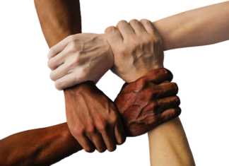 Jak budować społeczność na LinkedIn?