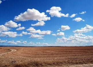 Jakie mogą być słabe strony przykłady? Jakie mogą być słabe strony przykłady?