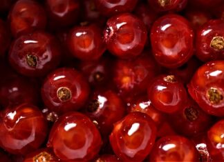 Jakie zawody są dobrze płatne? Jakie zawody są dobrze płatne?