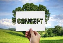 Czy zabawy paluszkowe to metoda aktywizująca? Czy zabawy paluszkowe to metoda aktywizująca?