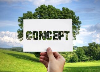 Czy zabawy paluszkowe to metoda aktywizująca? Czy zabawy paluszkowe to metoda aktywizująca?