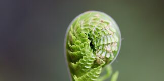 Jak rozwijać i dbać o relacje międzyludzkie?