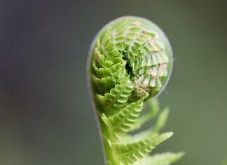 Jak rozwijać i dbać o relacje międzyludzkie? Jak rozwijać i dbać o relacje międzyludzkie?