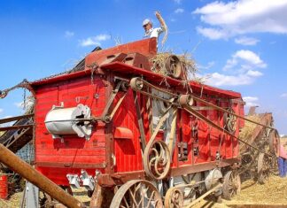 Jakich zawodów nie ma w Polsce? Jakich zawodów nie ma w Polsce?