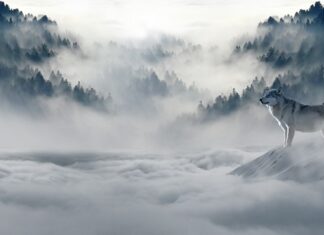 Jak poradzić sobie ze złą atmosfera w pracy? Jak poradzić sobie ze złą atmosfera w pracy?