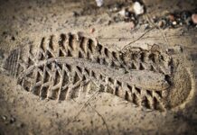 Czy oceny świadczą o poziomie inteligencji? Czy oceny świadczą o poziomie inteligencji?