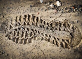 Czy oceny świadczą o poziomie inteligencji? Czy oceny świadczą o poziomie inteligencji?