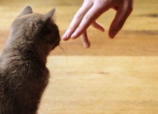 Co zbliża ludzi w związku? Co zbliża ludzi w związku?