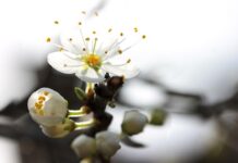 Dlaczego nie dostaję ofert na LinkedIn? Dlaczego nie dostaję ofert na LinkedIn?