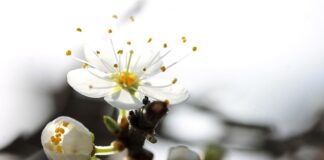 Dlaczego nie dostaję ofert na LinkedIn?