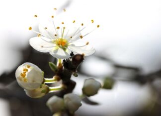 Dlaczego nie dostaję ofert na LinkedIn?